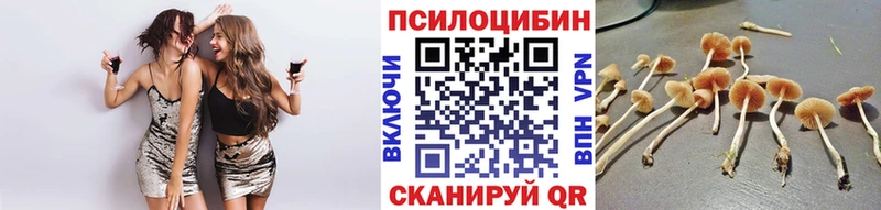 Псилоцибиновые грибы Psilocybe закладки ОМГ ОМГ сайт Ершов
